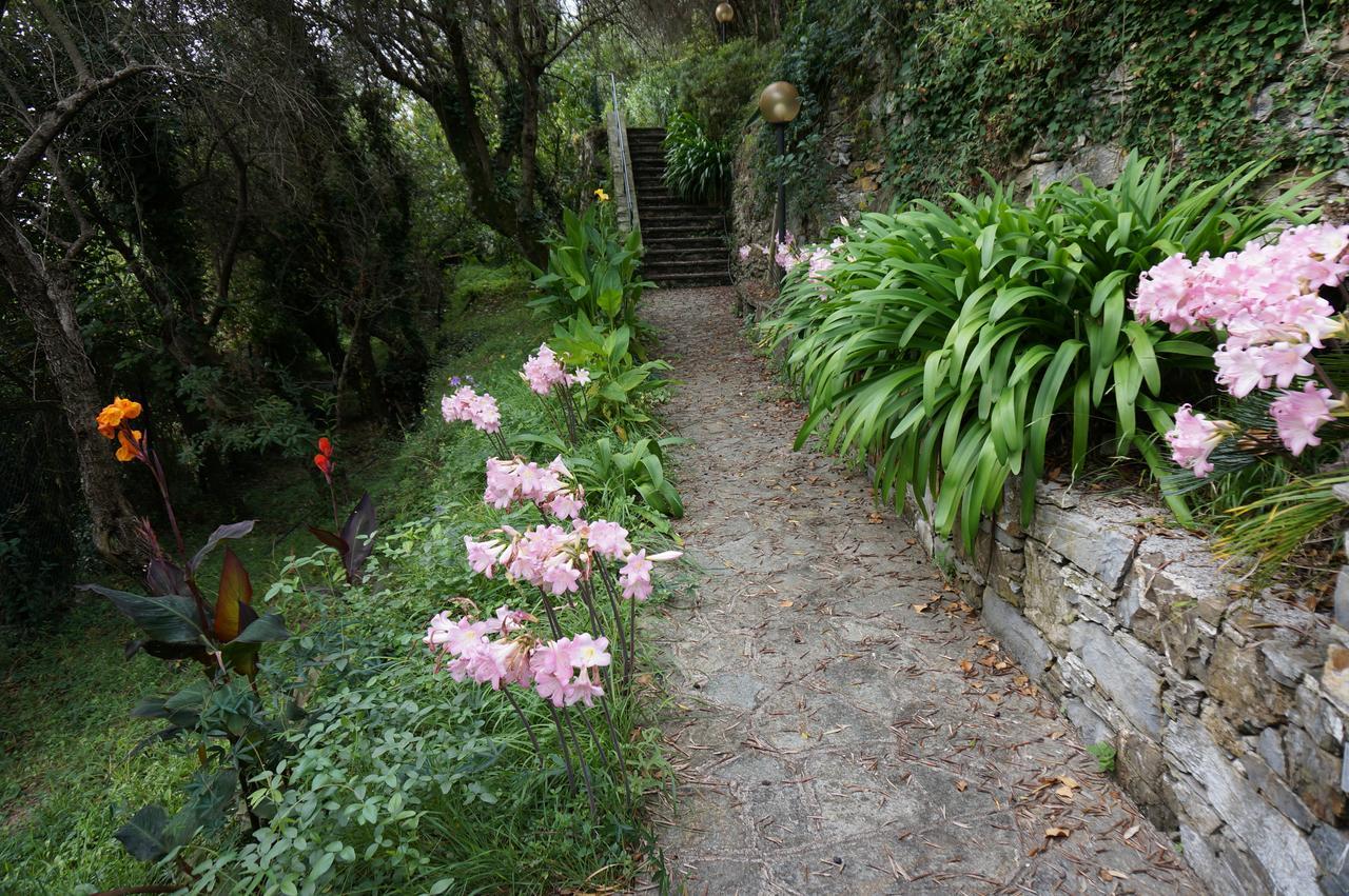 casa del nespolo Villa Zoagli Esterno foto